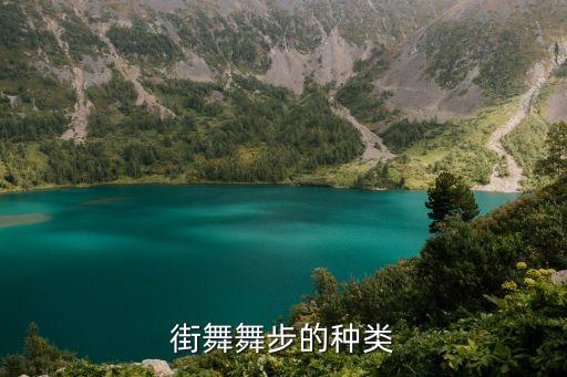 playboy舞蹈教学,第一跳街舞最受青少年欢迎