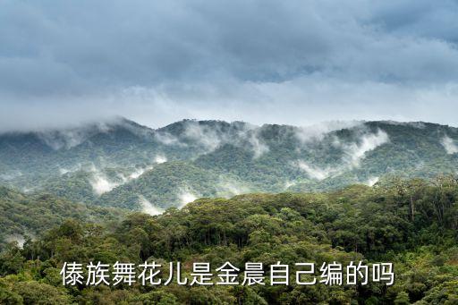 济南市国际舞蹈协会,中国民族舞蹈的种类