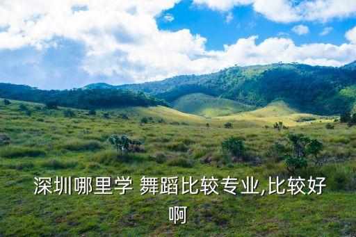 深圳哪里学 舞蹈比较专业,比较好啊