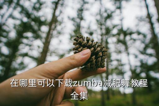 丰胸健身舞蹈视频大全,尊巴减肥舞蹈课程完整