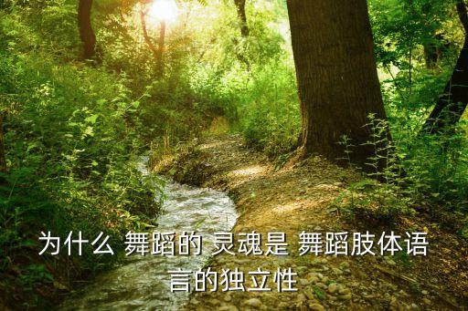 舞蹈的灵魂 要素,舞蹈灵魂在于肢体语言和舞者内心想法