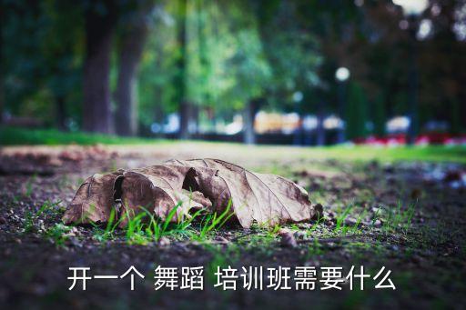 开一个 舞蹈 培训班需要什么