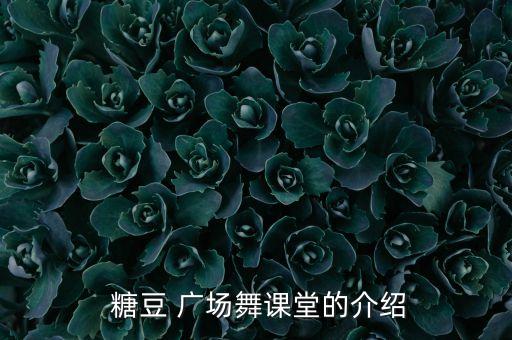  糖豆 广场舞课堂的介绍