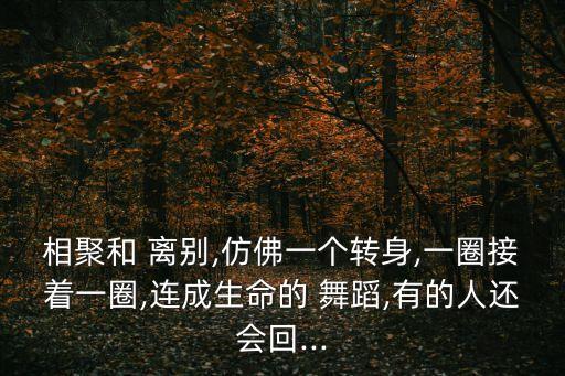 离别舞蹈赏析,我和你一样希望被记住