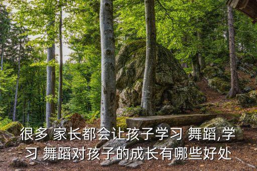 很多 家长都会让孩子学习 舞蹈,学习 舞蹈对孩子的成长有哪些好处