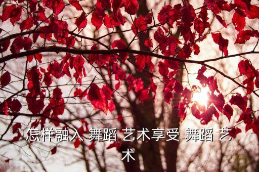 怎样融入 舞蹈 艺术享受 舞蹈 艺术