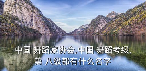 旁提舞蹈视频八级,中国舞蹈家属协会编号八级:不包含任何舞蹈