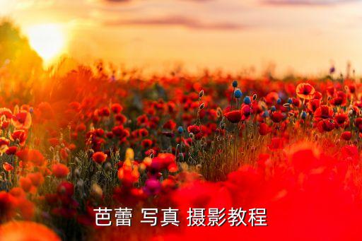 芭蕾 写真 摄影教程