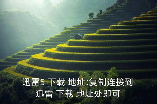  迅雷5 下载 地址:复制连接到 迅雷 下载 地址处即可