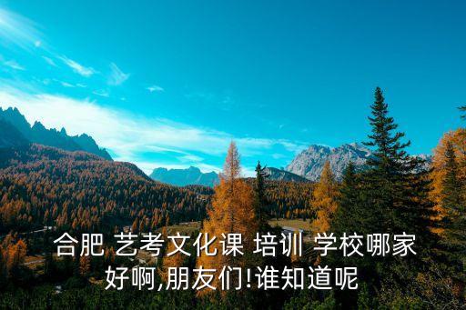  合肥 艺考文化课 培训 学校哪家好啊,朋友们!谁知道呢