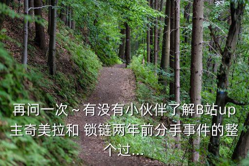 再问一次～有没有小伙伴了解B站up主奇美拉和 锁链两年前分手事件的整个过...
