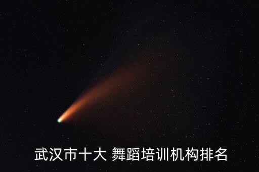  武汉市十大 舞蹈培训机构排名