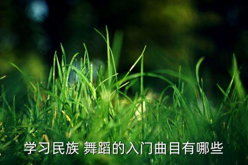 学习民族 舞蹈的入门曲目有哪些