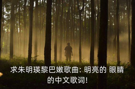 求朱明瑛黎巴嫩歌曲: 明亮的 眼睛的中文歌词!