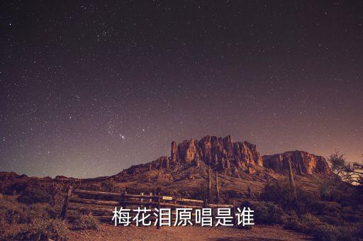  梅花泪原唱是谁