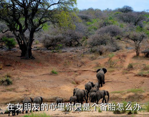 在女朋友的心里你只是个备胎怎么办