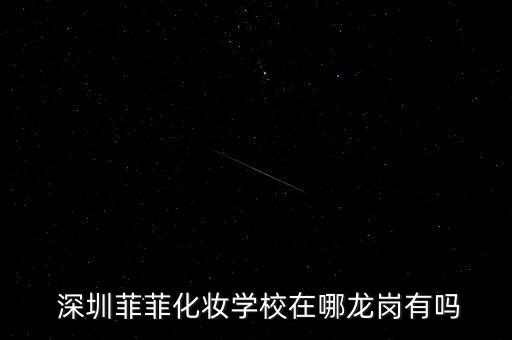  深圳菲菲化妆学校在哪龙岗有吗