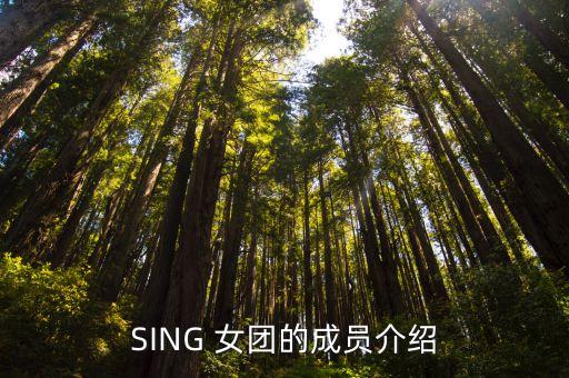 SING 女团的成员介绍
