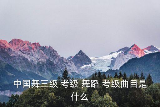 旗语兵舞蹈考级歌词,三级(少儿)讲解由浅入深