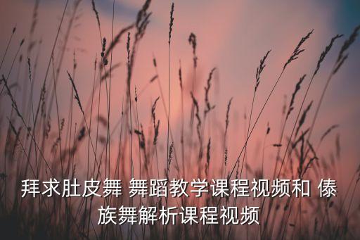 傣族舞蹈教学法,舞蹈学院:芭蕾、古典舞、戏曲、现代舞等课程
