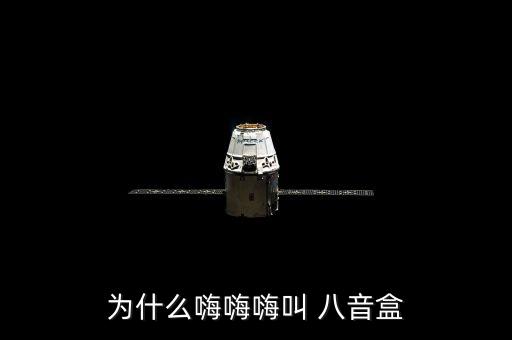 八音盒舞蹈视频,网上流行八音盒视频创作神奇又有毒