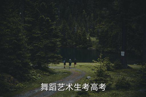  舞蹈艺术生考高考