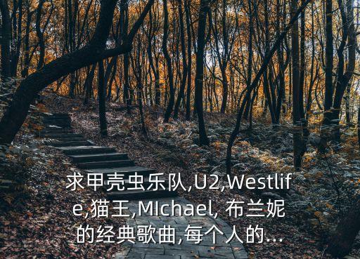 求甲壳虫乐队,U2,Westlife,猫王,MIchael, 布兰妮的经典歌曲,每个人的...