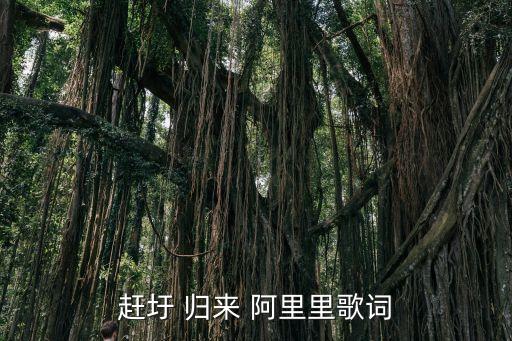 赶圩 归来 阿里里歌词