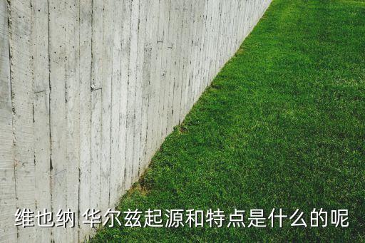 维也纳 华尔兹起源和特点是什么的呢