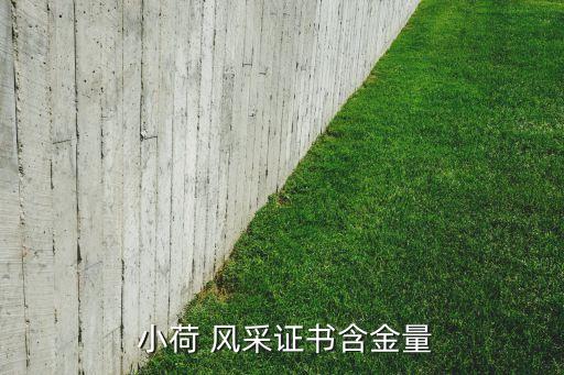 小荷风采中班舞蹈,小荷风采全国少儿舞蹈展是中国唯一获奖舞蹈