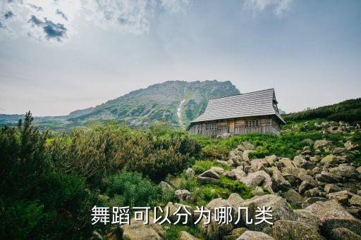  舞蹈可以分为哪几类