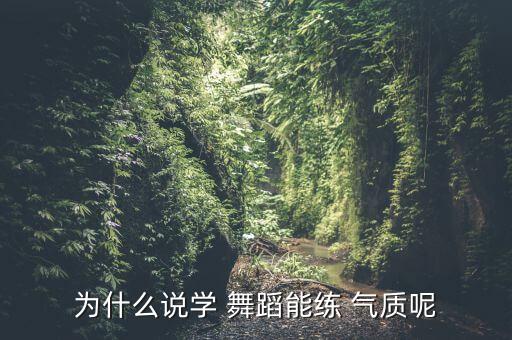 为什么说学 舞蹈能练 气质呢