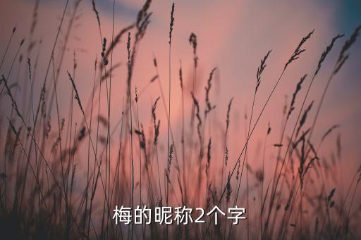 梅的昵称2个字