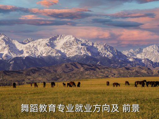  舞蹈教育专业就业方向及 前景