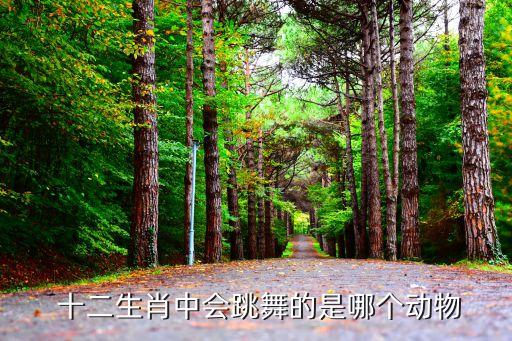 十二生肖舞蹈下载,十二生肖与动物崇拜有关