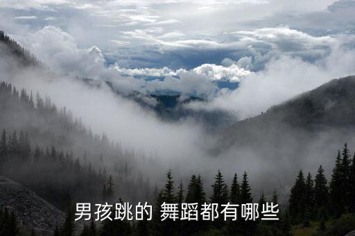 儿童舞蹈男,现代舞不分性别华尔兹适合凸显男生