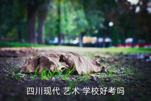 四川现代 艺术 学校好考吗