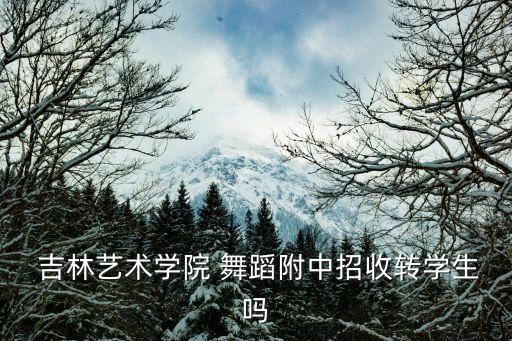  吉林艺术学院 舞蹈附中招收转学生吗