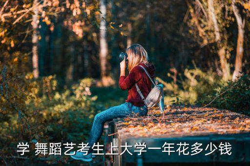 安庆舞蹈 学费,学舞蹈一年费用不便宜可考等级舞蹈