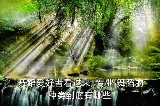 专业古典舞蹈,五种舞蹈类型的摇摆舞