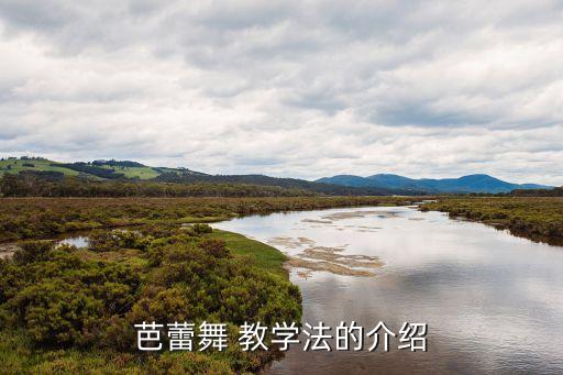 芭蕾舞 教学法的介绍