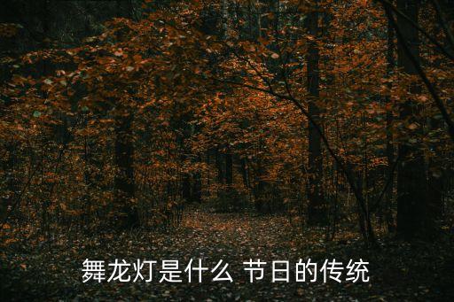 舞龙灯是什么 节日的传统