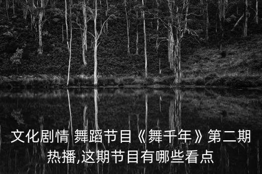 文化剧情 舞蹈节目《舞千年》第二期热播,这期节目有哪些看点