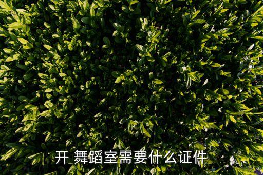 开 舞蹈室需要什么证件