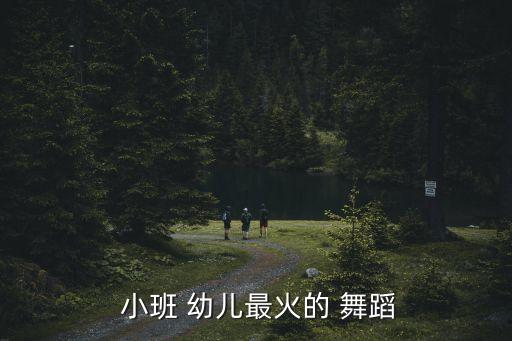  小班 幼儿最火的 舞蹈