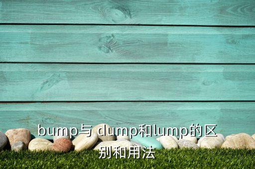 bump与 dump和lump的区别和用法