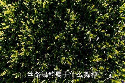 丝路舞韵属于什么舞种