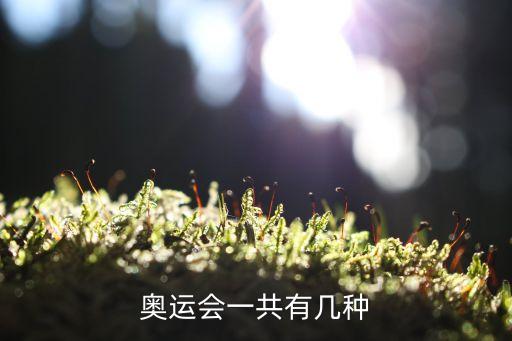 世界运动会体育舞蹈,我国六人体操好手包揽全部金牌