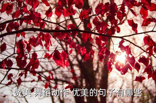 赞美 舞蹈动作 优美的句子有哪些