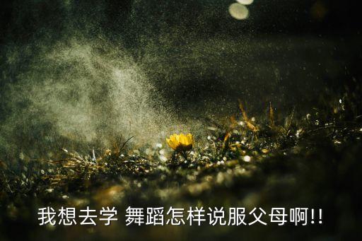 我想去学 舞蹈怎样说服父母啊!!